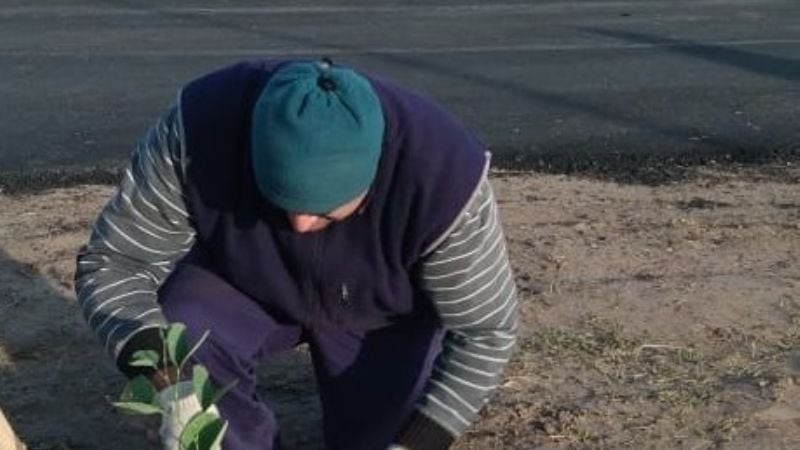 Ambiente forestó en La Merced