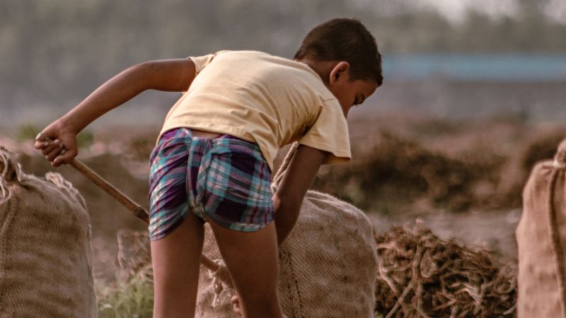 Explotación laboral y trabajo infantil en Catamarca