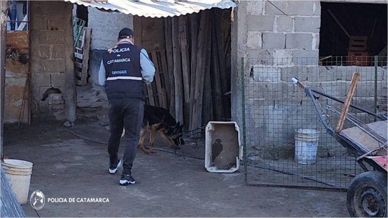 Secuestran más de 7 kilos de marihuana y $650.000 pesos