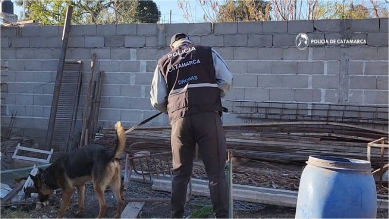 Secuestran más de 7 kilos de marihuana y $650.000 pesos