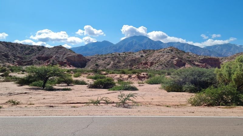 Antes de viajar, conocé el estado de las rutas