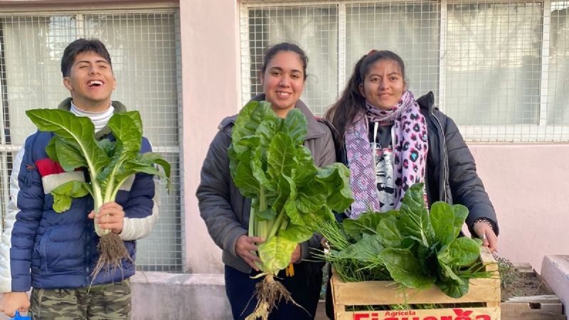 Cosecha en la Huerta del Centro Terapéutico