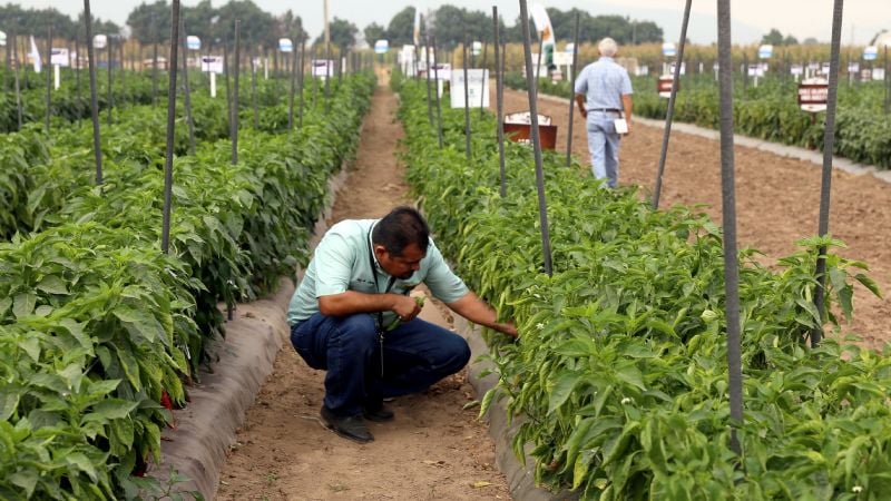 BASF expuso sus soluciones para Legumbres que potencian las oportunidades en exportaciones