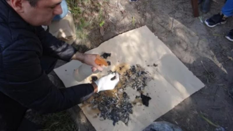 Se confirmó que no son humanos los restos óseos que quedaban por analizar