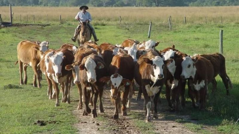 Aumento de salarios para trabajadores rurales