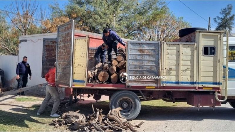 En Pomán secuestraron vigas de algarrobo