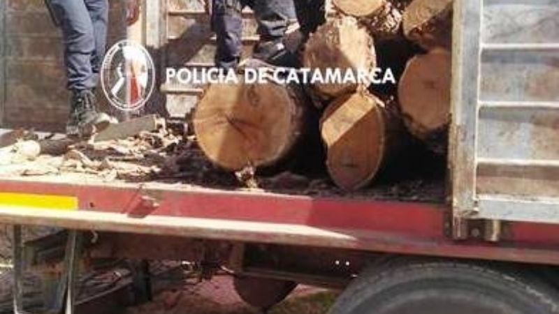 En Pomán secuestraron vigas de algarrobo