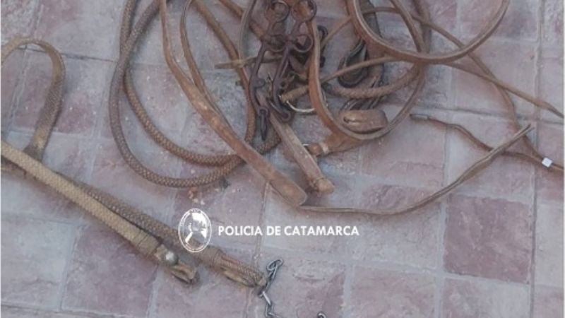 Policías recuperaron gran cantidad de elementos sustraídos