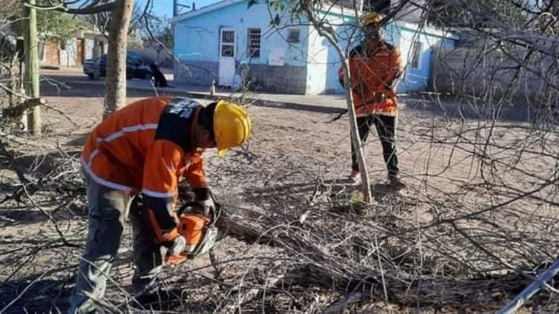 Zonda causó daños en Tinogasta