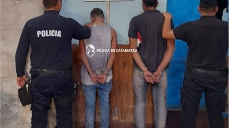 Detenidos por robar 14 bolsas de cemento