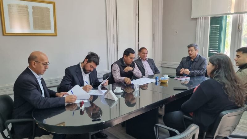 Estudiantes universitarios en  contacto con el mundo laboral 