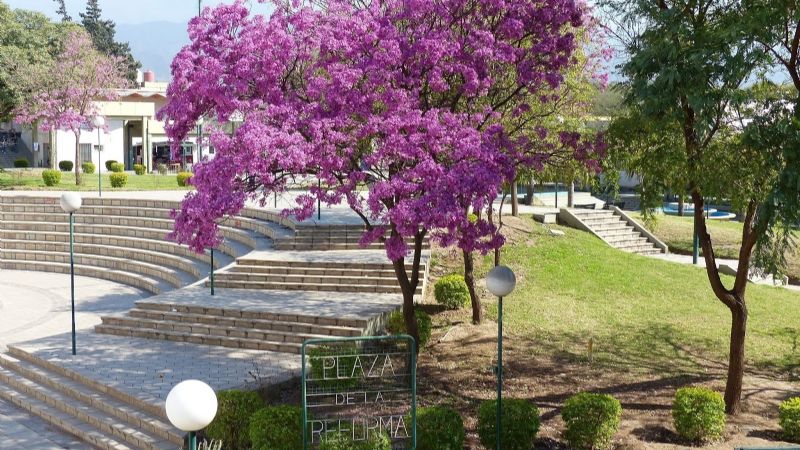 Esta tarde habrá Feria Internacional Académica 