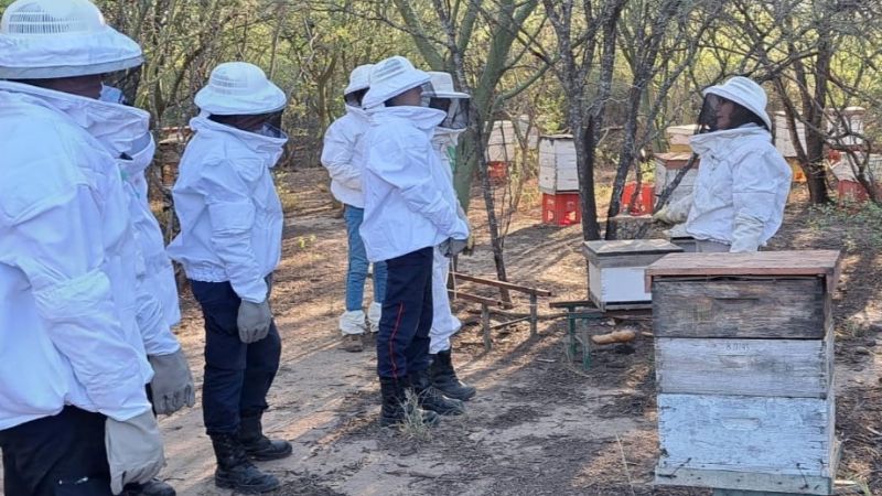 Catamarca se adhiere al nuevo Programa Nacional de Fortalecimiento Apícola