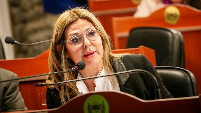 Diputados aprobó un programa para prevenir los ACV