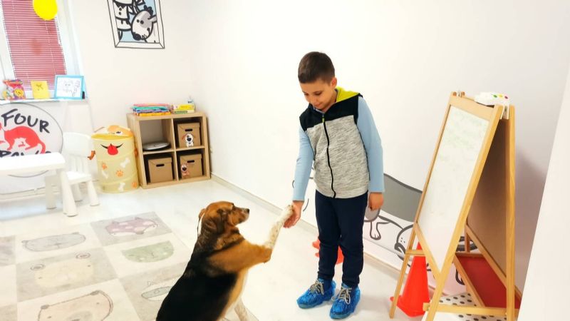 Terapia con animales: cómo los perros y otros animales contienen y ayudan a ser más felices