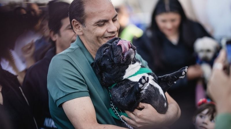 Saadi, Zenteno, Soria, Menecier y Espinoza retendrían las intendencias