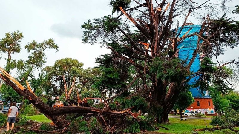 Violento temporal en Miramar: intensas lluvias, destrozos y dos muertos