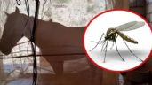 Una mujer murió por encefalitis equina y son dos las víctimas en el país
