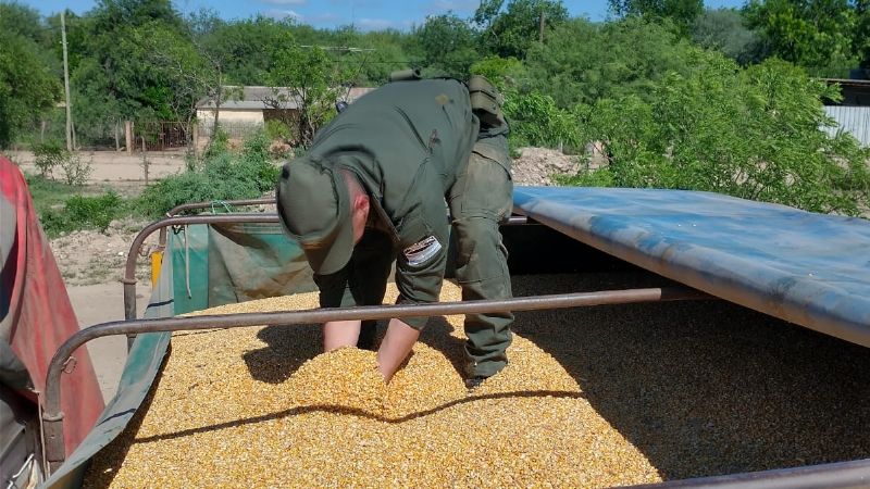 Gendarmería secuestró 40 toneladas de maíz en Salta