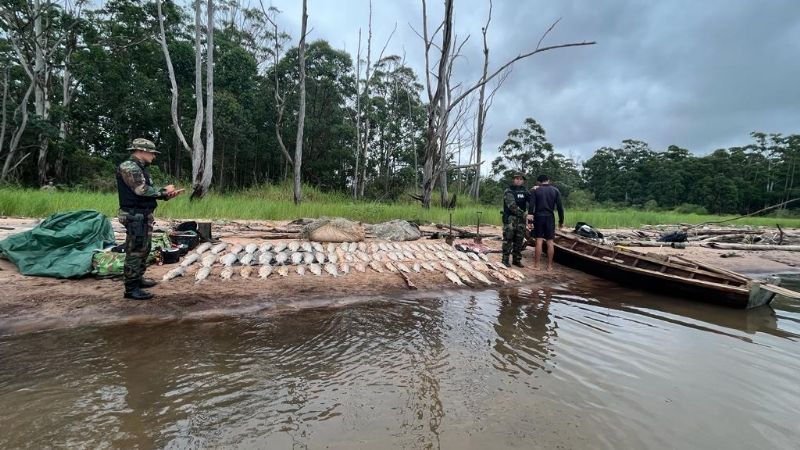 Secuestran 300 kilos de pescados en Corrientes