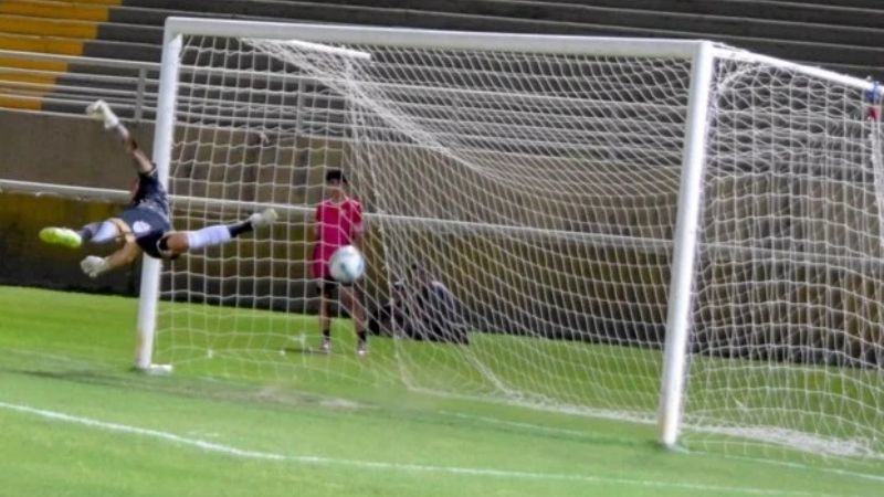 Pacto "Consejo Federal-Santiago", Parte I