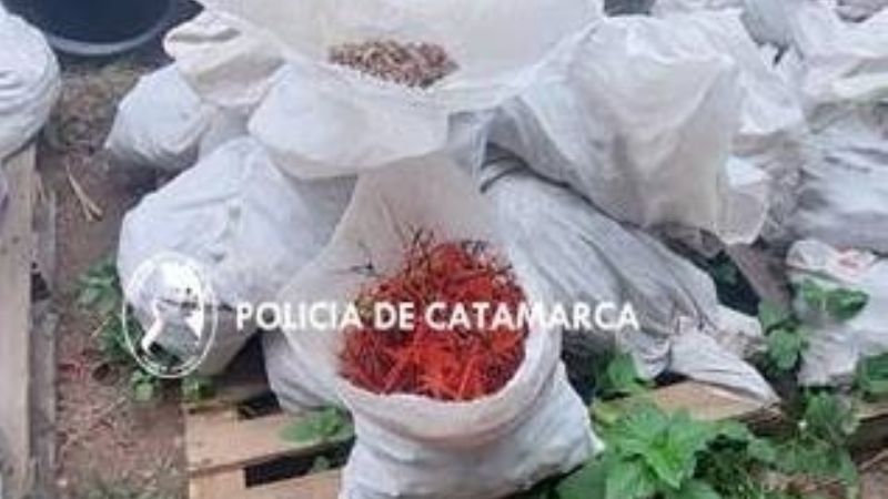 Secuestran 12 mil kilos de piedra rodocrosita