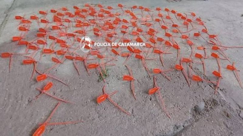 Secuestran 12 mil kilos de piedra rodocrosita