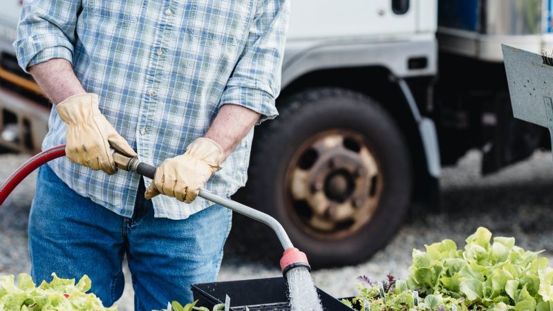 El 95% de los productores agropecuarios piensa que las políticas económicas de Milei mejorarán su rentabilidad
