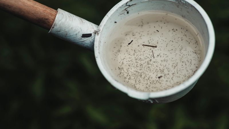 En enero, se registraron 53 nuevos casos de Dengue en la Catamarca