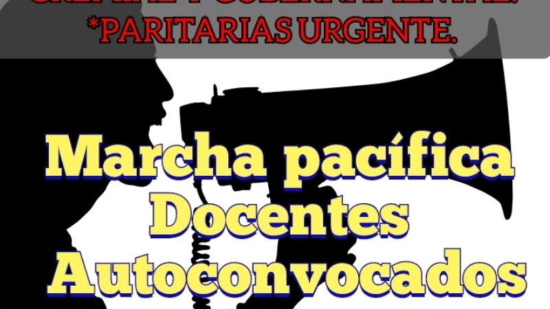 Docentes autoconvocados marchan a la plaza