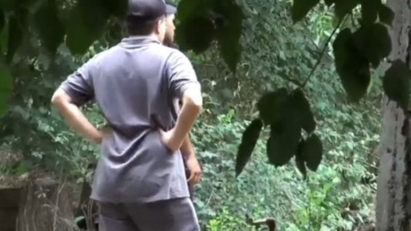 Entraron a robar a un predio de departamentos, alquilado por policías