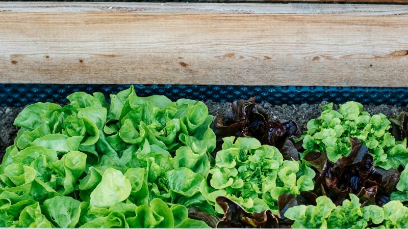 Capacitación docente sobre Huertas Agroecológicas en Tinogasta