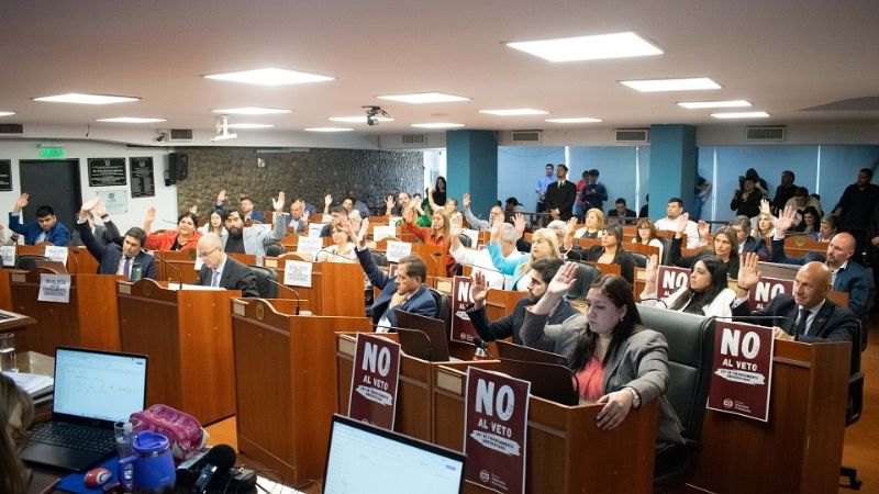 Por mayoría Diputados respaldó la marcha universitaria