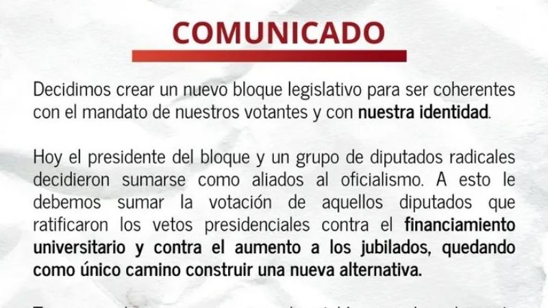La UCR “rota”; Manes, Lousteau y diez más, se fueron