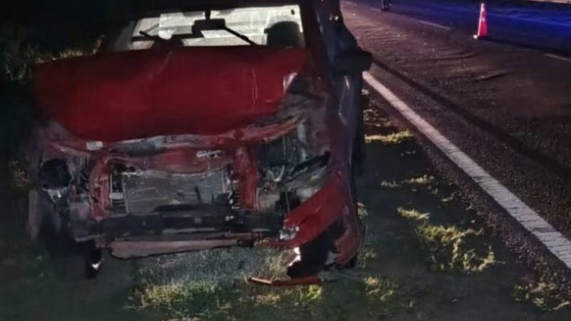 Chocó contra un animal en la ruta