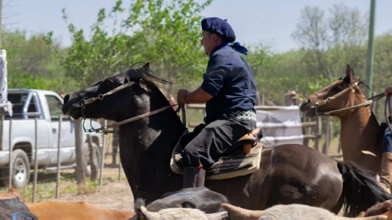 Exitoso concurso de destrezas en Caballos Criollos