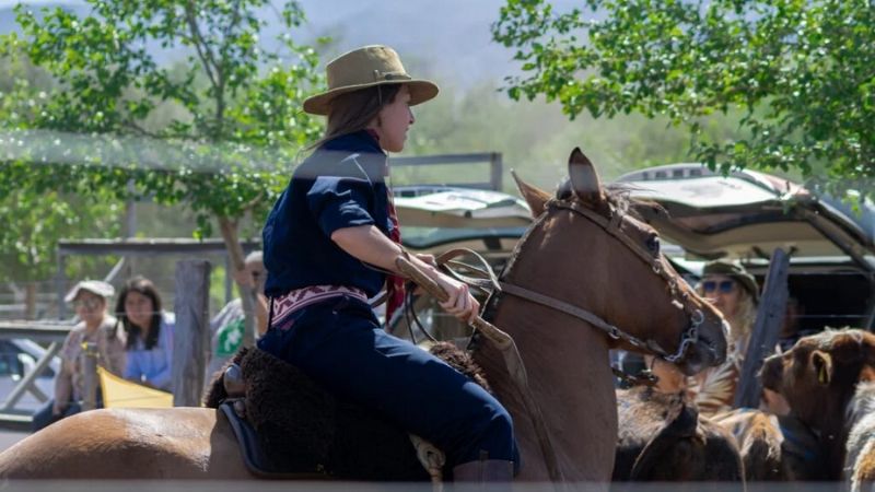 Exitoso concurso de destrezas en Caballos Criollos