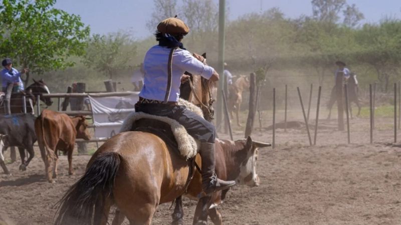 Exitoso concurso de destrezas en Caballos Criollos