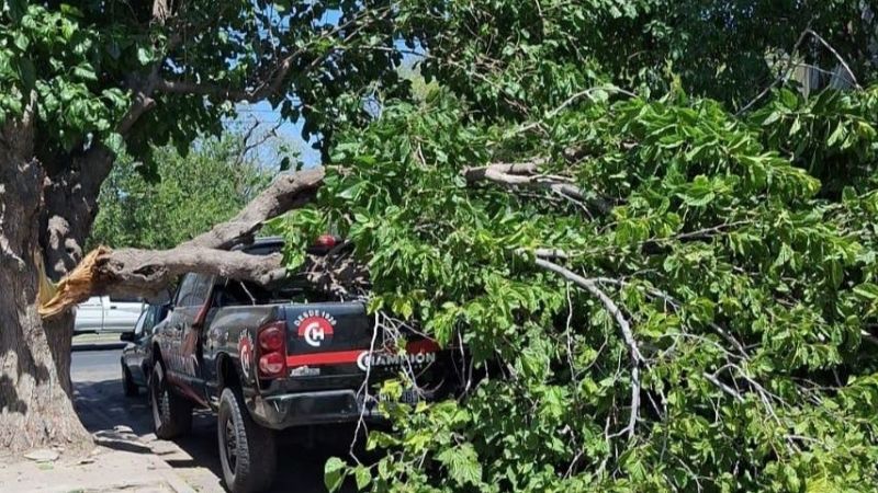 El fuerte viento causó problemas