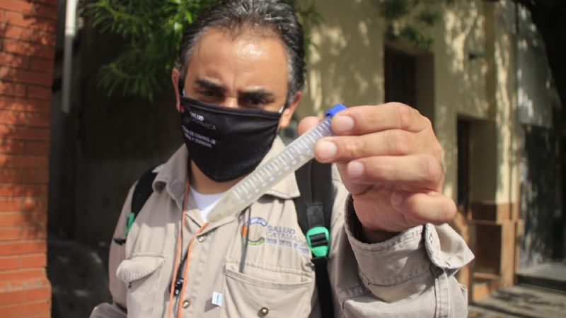 Salud continúa realizando acciones de prevención de Dengue