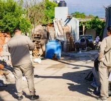 Sin nuevos casos de dengue y chikungunya en la última semana epidemiológica