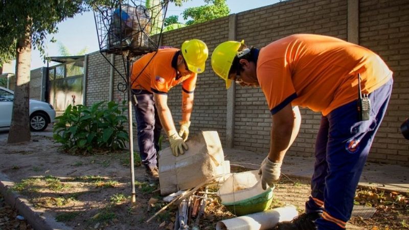 Acciones para prevenir el dengue