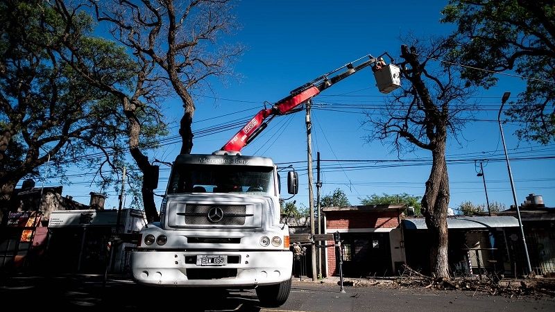 Avanza “Plan de Conservación del Arbolado” en avenida Presidente Castillo