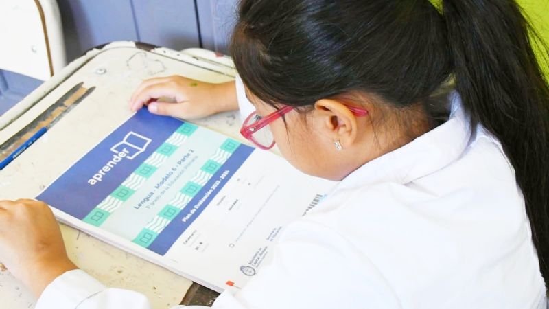 Prueba Aprender Primaria 2024: Evalúan las habilidades lectoras de sus estudiantes