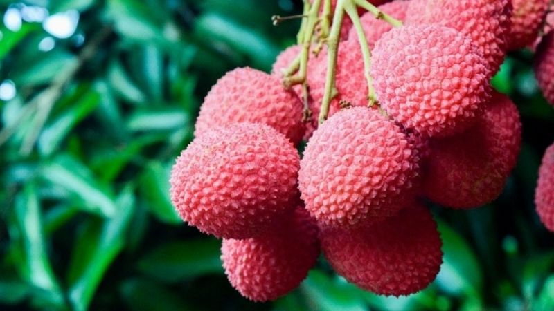 Investigador de la UNCA reconocido a nivel internacional