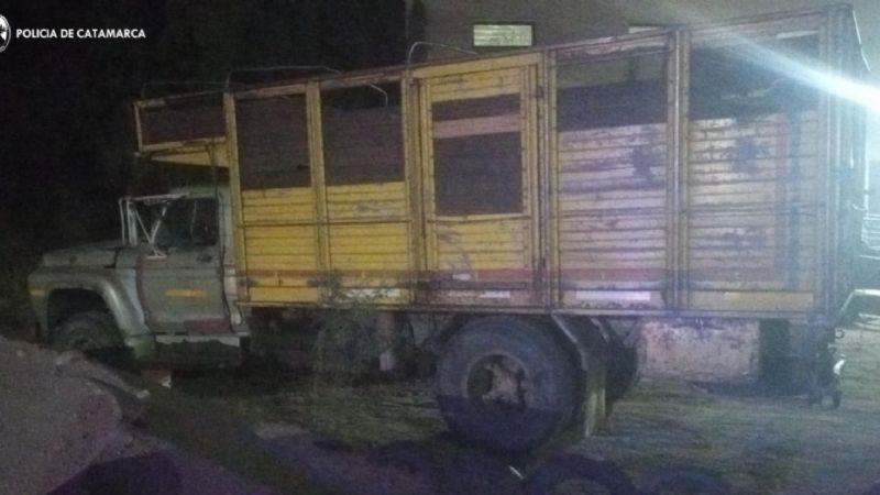 Borracho manejaba un camión