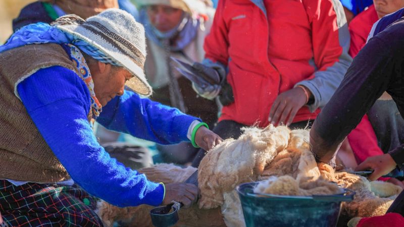 Coordinan la participación de turistas en el Chaku