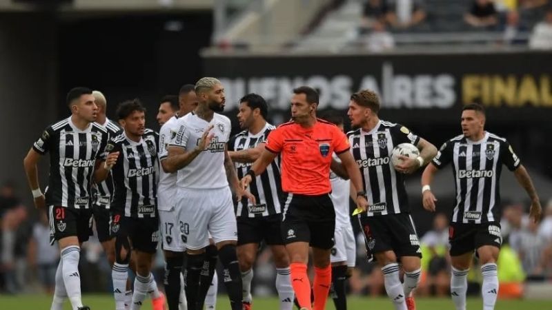 Botafogo ganó por primera vez la Copa Libertadores