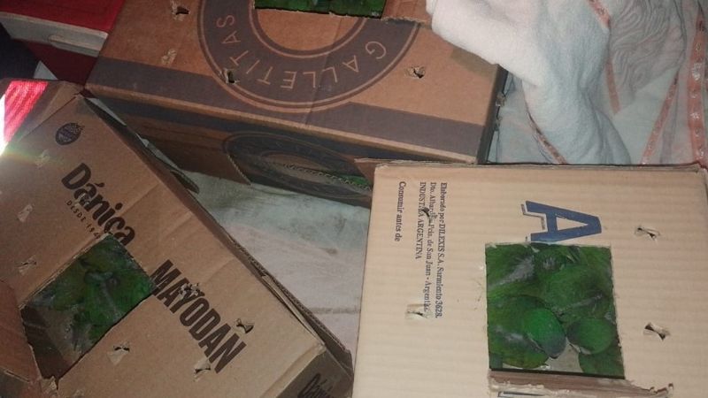 Interceptan a un traficante con 72 catas