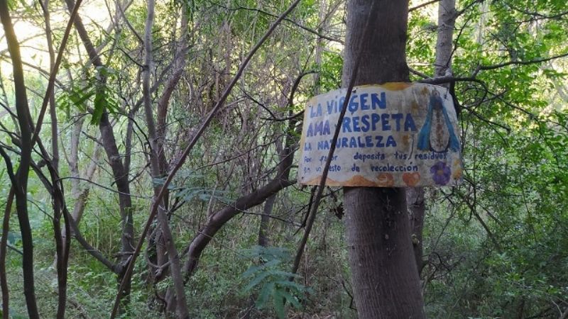 Río El Tala: Vecinos limpian más de 10 kilómetros